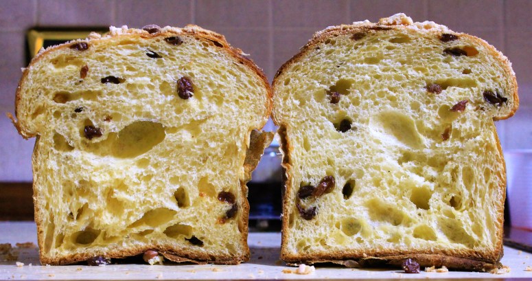 panettone